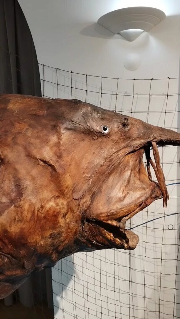 Сходили в Национальный музей Татарстана. Только один вопрос - почему в Татарской Республике было так плохо с едой?