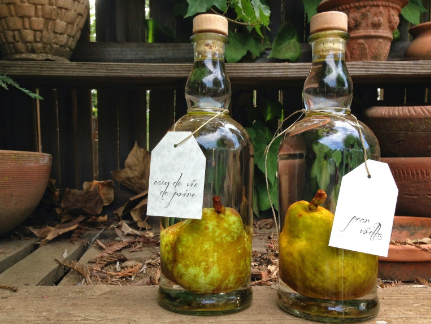 Граппа — что это такое? Как подавать и пить этот напиток?