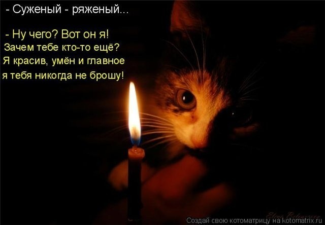 Тарологи – фуфлологи? Стоит ли слепо доверять их предсказаниям и прогнозам?