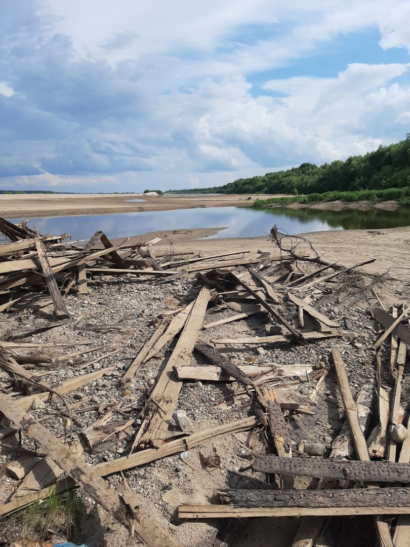 Спуск к пляжу на деревенском острове завален деревянными палками: это опасно для отдыхающих и наносит вред экологии