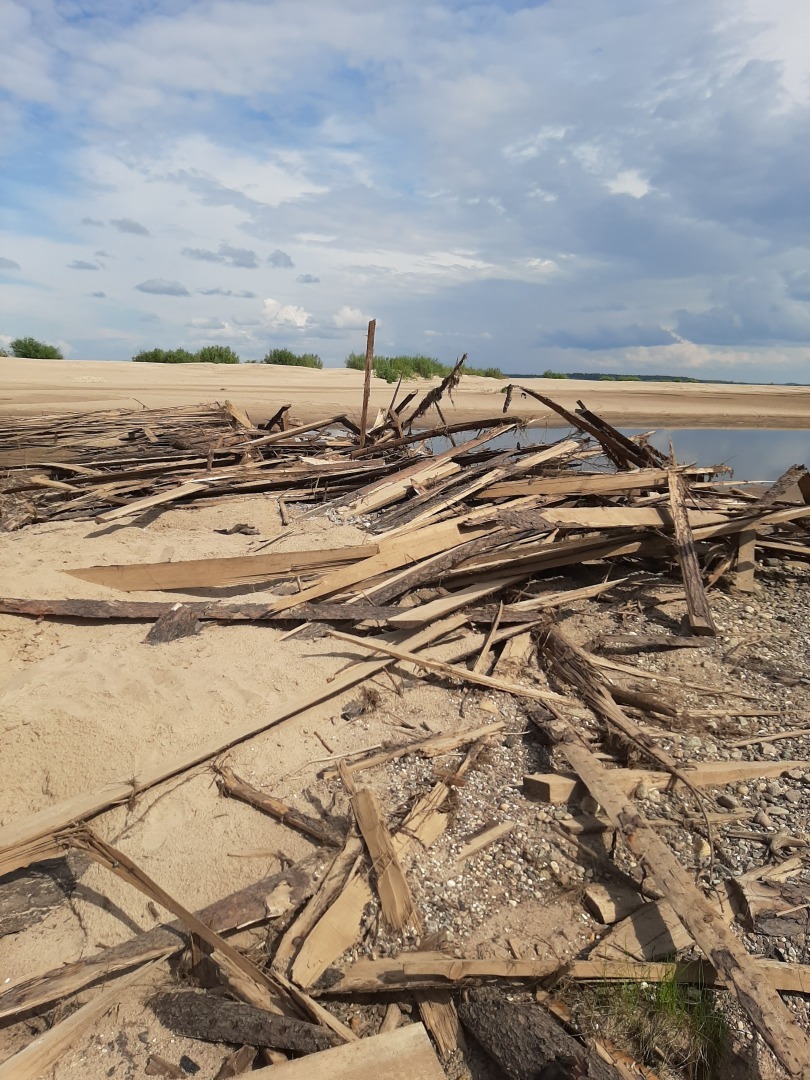 Спуск к пляжу на деревенском острове завален деревянными палками: это опасно для отдыхающих и наносит вред экологии