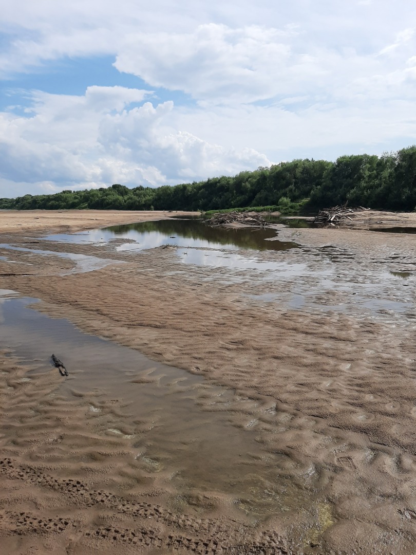 Спуск к пляжу на деревенском острове завален деревянными палками: это опасно для отдыхающих и наносит вред экологии
