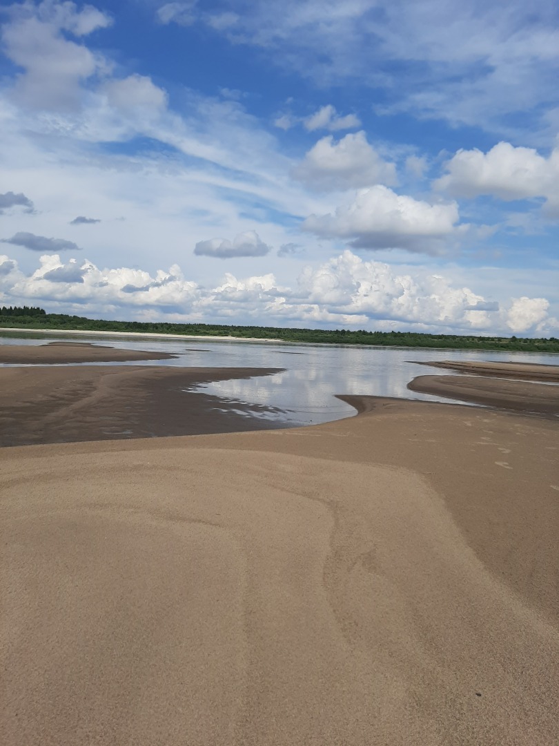 Спуск к пляжу на деревенском острове завален деревянными палками: это опасно для отдыхающих и наносит вред экологии
