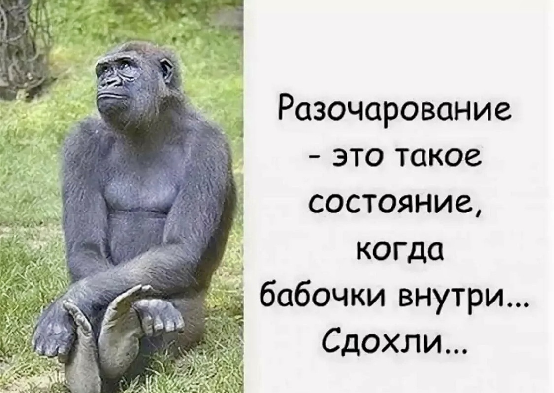 Весёлые картинки про любовь и отношения