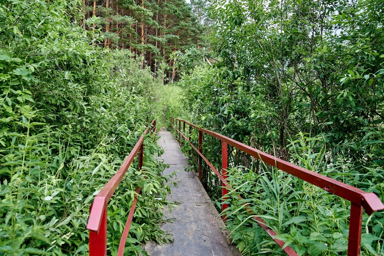 Неудобная правда или почему, как на дрожжах, растут услуги ЖКХ, и не только
