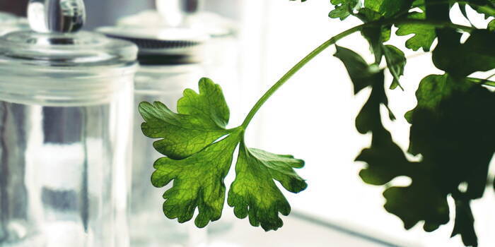 Какие продукты богаты антиоксидантами?