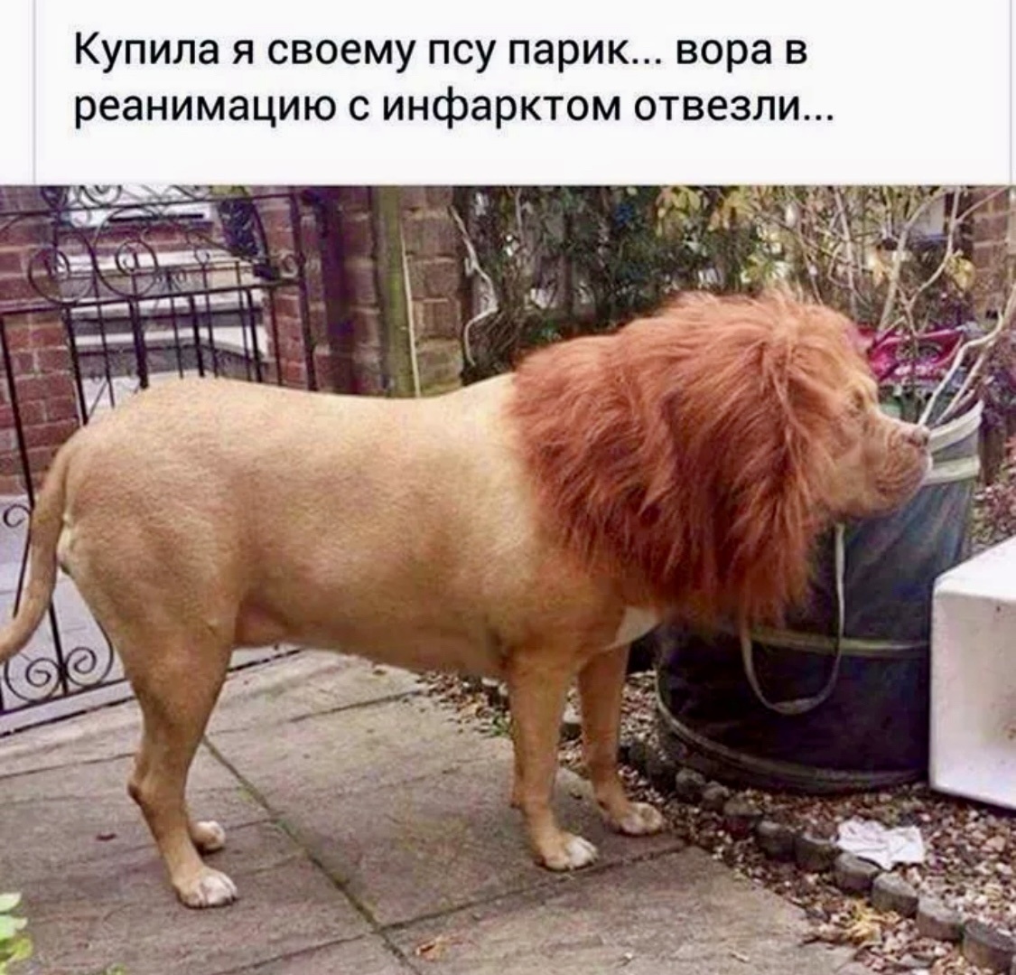 Весёлые картинки про любовь и отношения