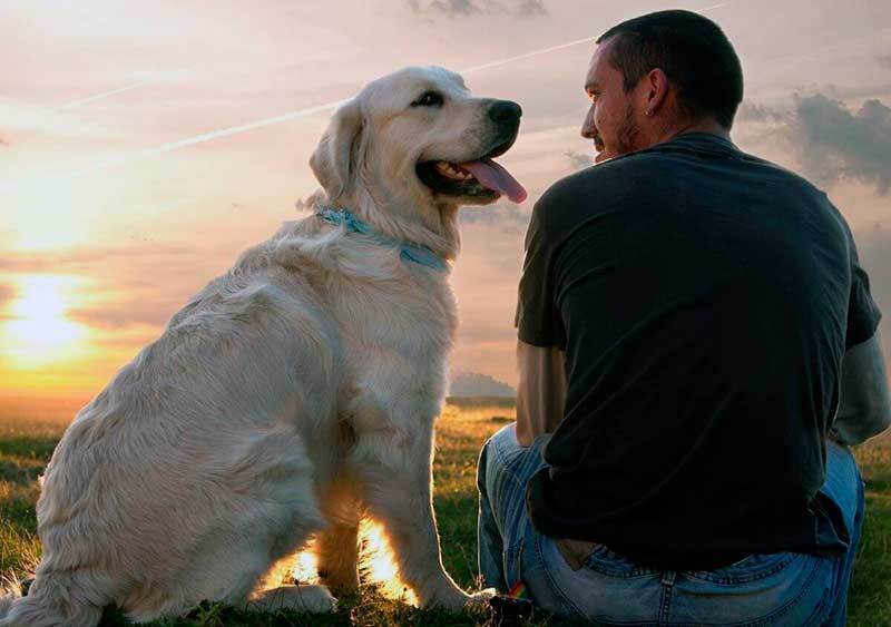 Идеальный четвероногий друг: какую породу выбрать пожилому человеку без детей для содержания в квартире