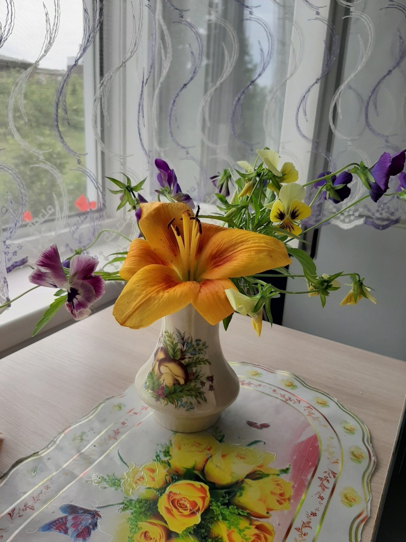 Мои деревенские цветы этого лета: что удалось вырастить на своем земельном участке. Личный опыт выращивания