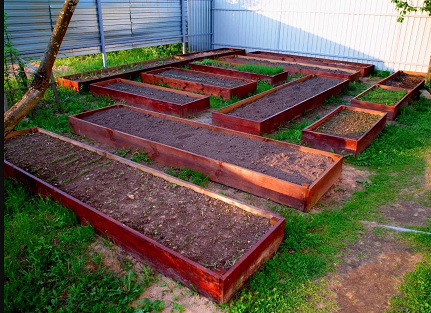 Бордюры на дачном участке: гармония функционала и эстетики