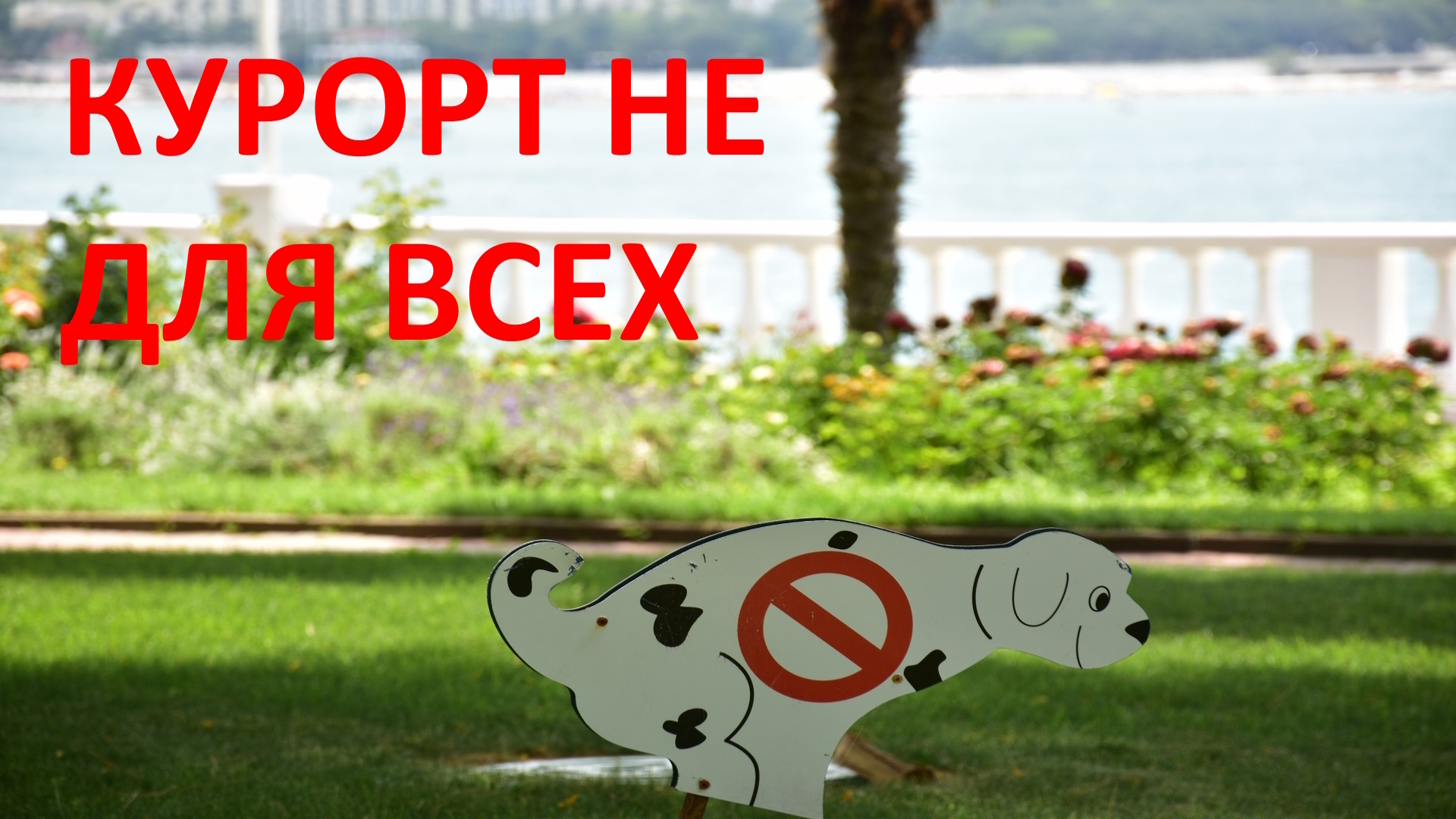 Вы больше никогда не захотите отдыхать летом в Геленджике. Но это не точно