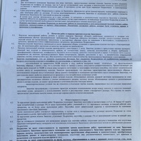 IMG_8781.jpeg