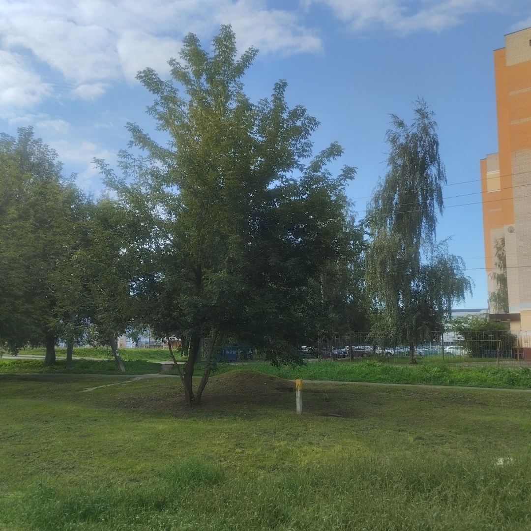 Дурная слава – залог предвзятости, или Как я не помогла цыганке на вокзале