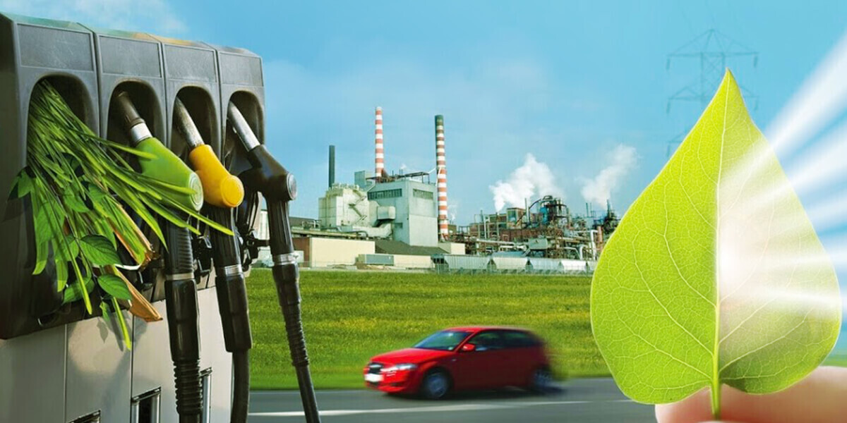 "От Древности до Будущего: Роль Грибов в Нашем Мире"