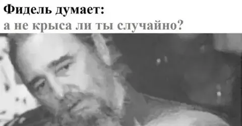 Своих не бросаем, а других легко! Преданные друзья