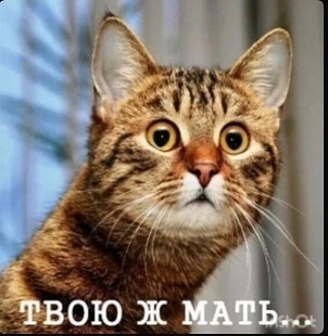 Антони Аммирати снес пенисом планку на высоте 5 м и 70 см.А вот и достойная награда для "героя" этой фриколимпиады. Порносайт предложил ...