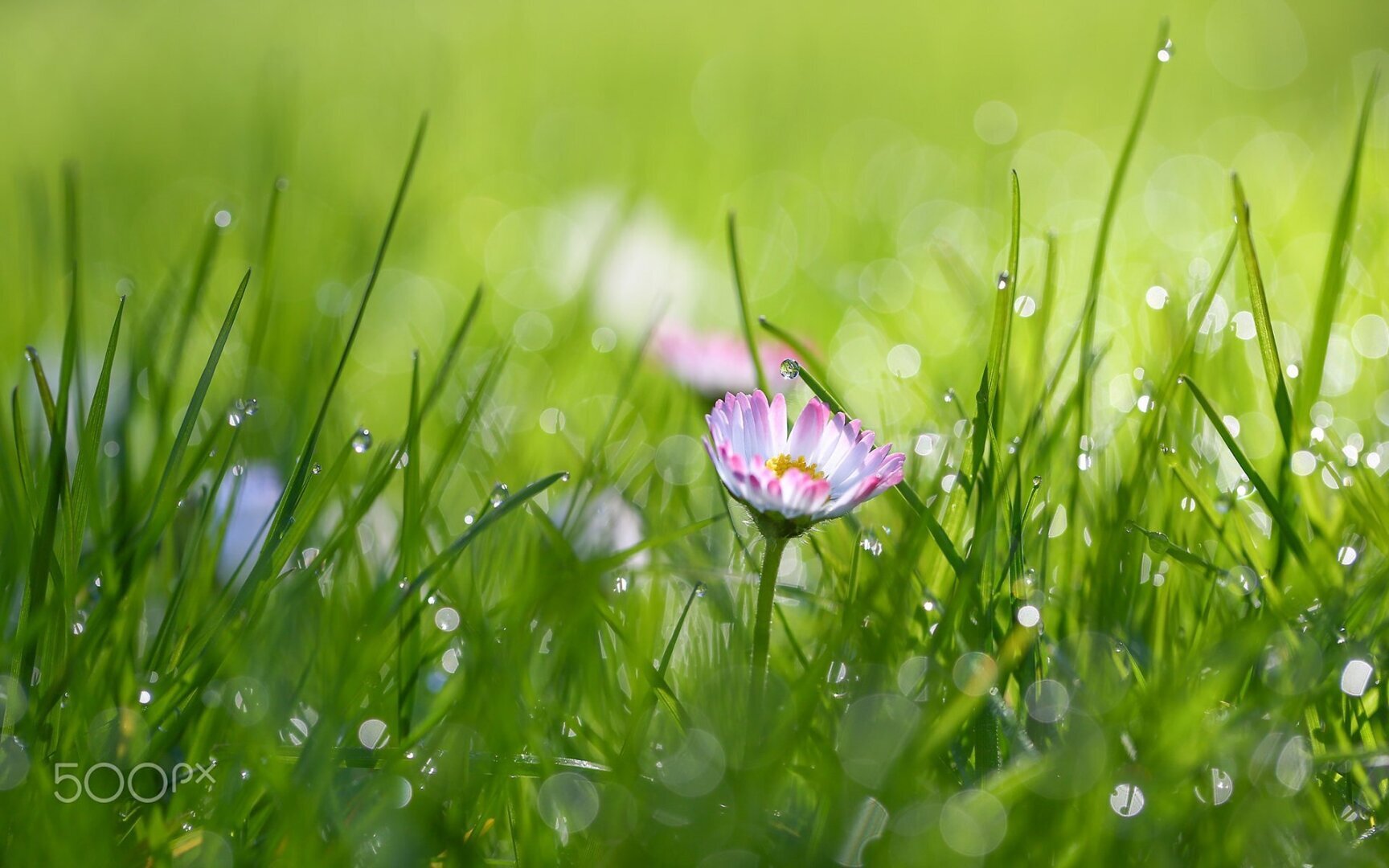 А вы когда-нибудь видели белую радугу?