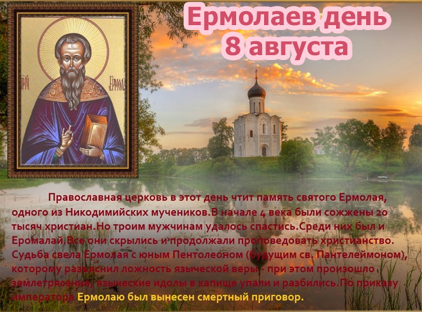 8 августа: Ермолаев день, Всемирный день кошек, офтальмологов и альпиниста