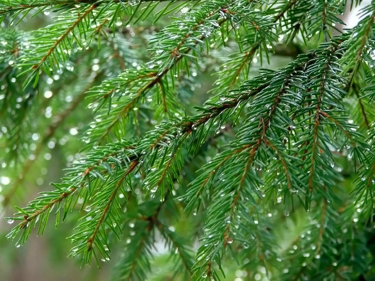 А вы когда-нибудь видели белую радугу?