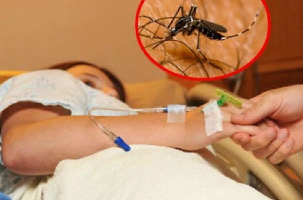🦟Уже более 15 случаев. В России фиксируют новый всплеск лихорадки Западного Нила