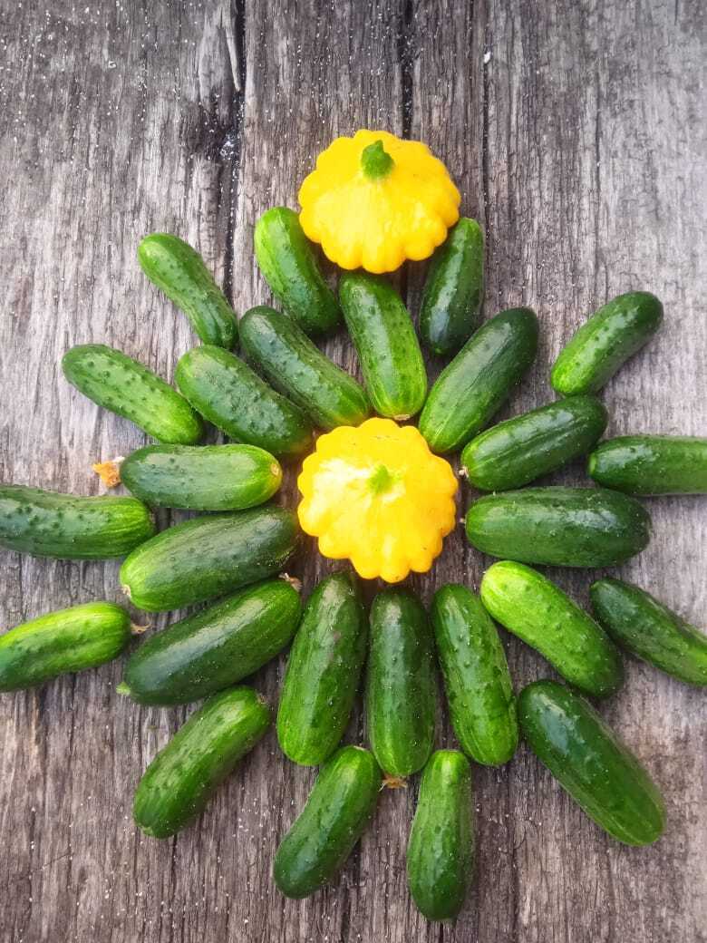 "Мал золотник, да дорог": самые вкусные мини овощи на моей дачной грядке.