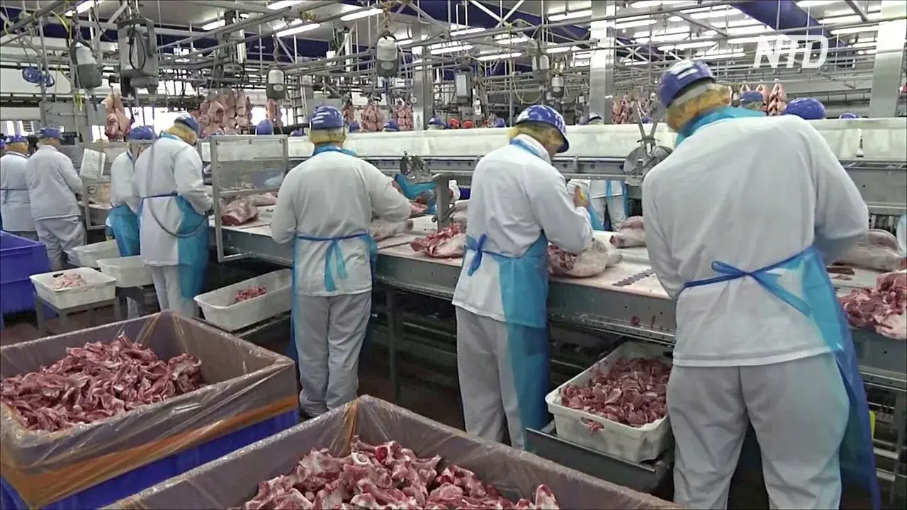 Массовое заражение кишечной инфекцией на Черкизовском мясокомбинате: последние данные и причины