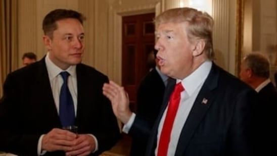 Поддержка Трампа Илоном Маском отпугивает клиентов Tesla. Продажи электромобилей упали ниже 50%
