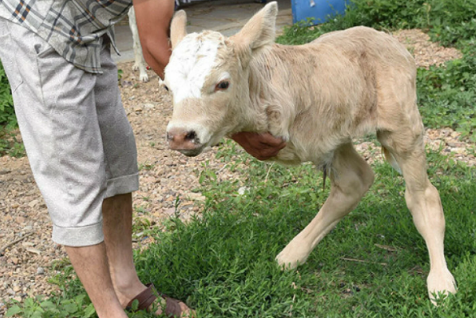 😱Самые пугающие и загадочные факты, связанные с чернобыльской зоной отчуждения!😱