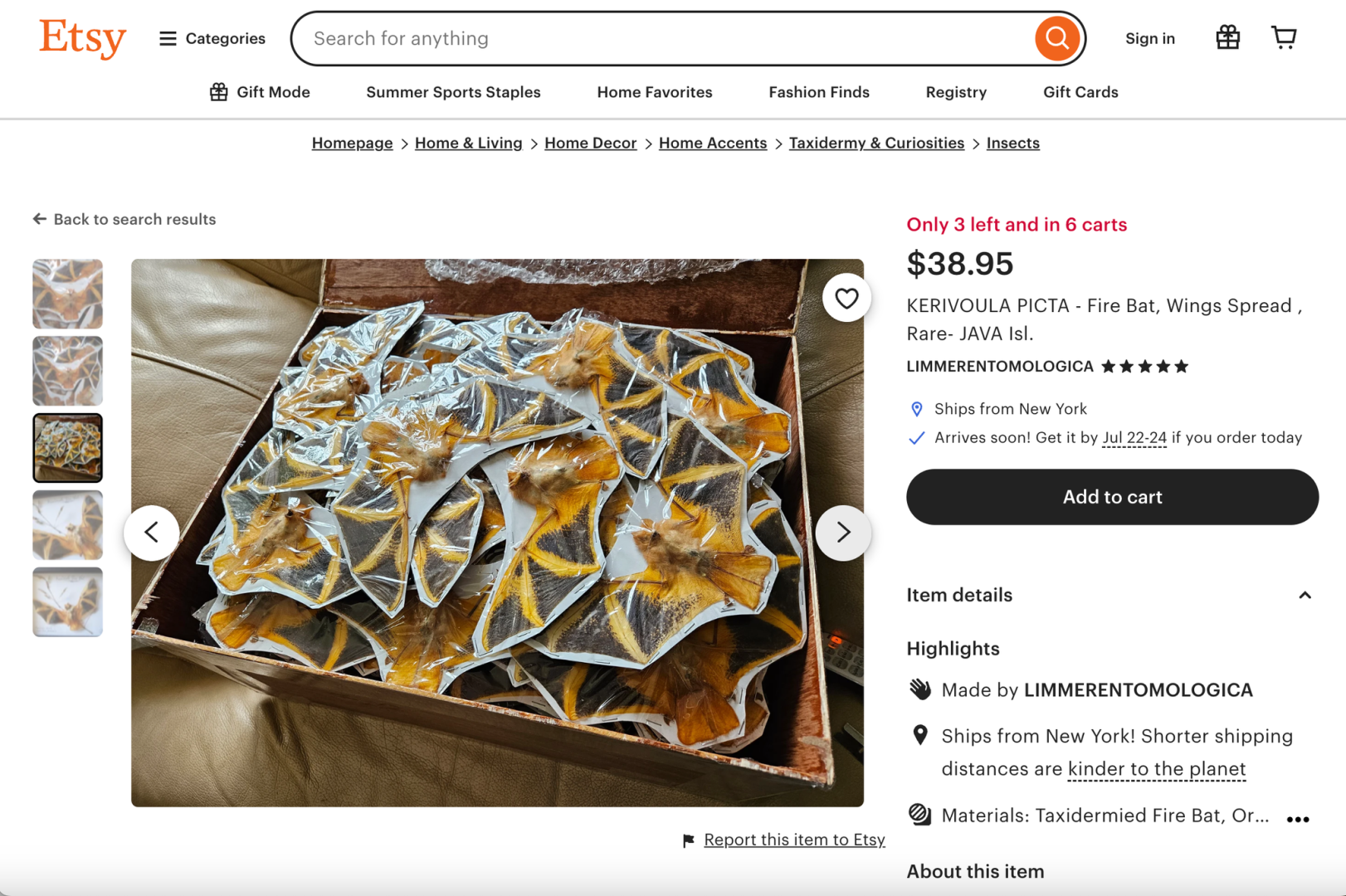 Летучие мыши уже боролись. Теперь они продаются на EBay