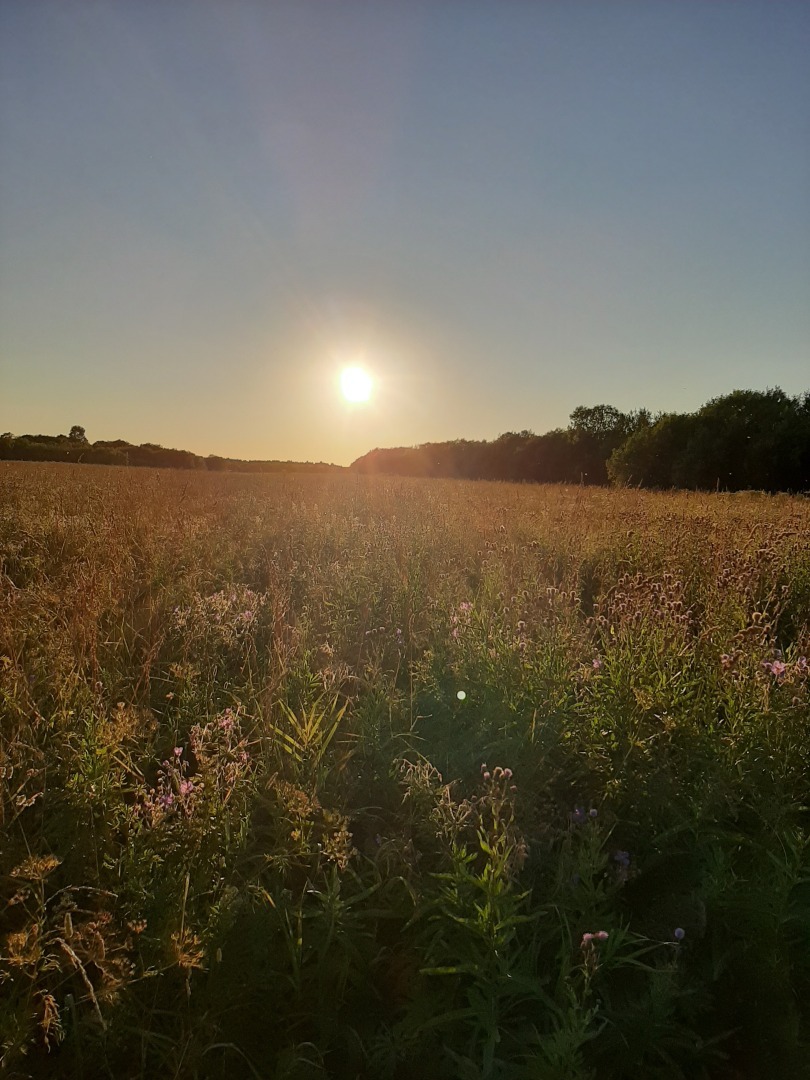Мой отдых на пляже реки Северная Двина: личные впечатления и выводы автора