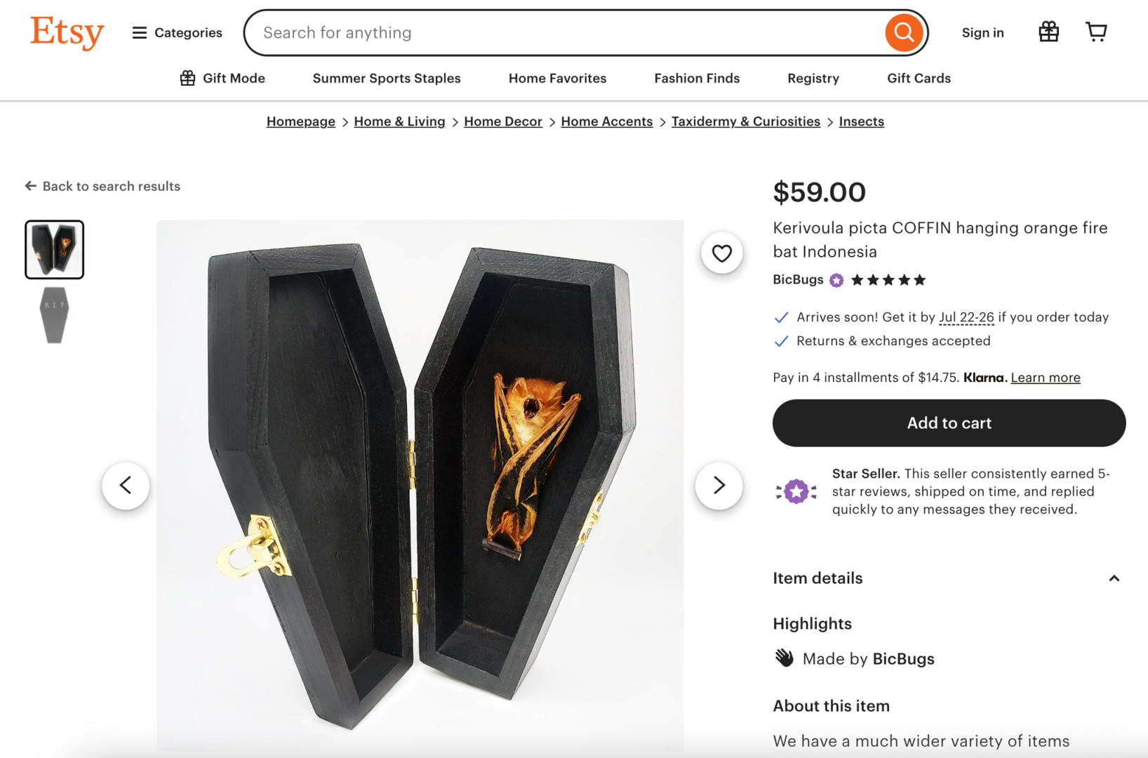 Летучие мыши уже боролись. Теперь они продаются на EBay