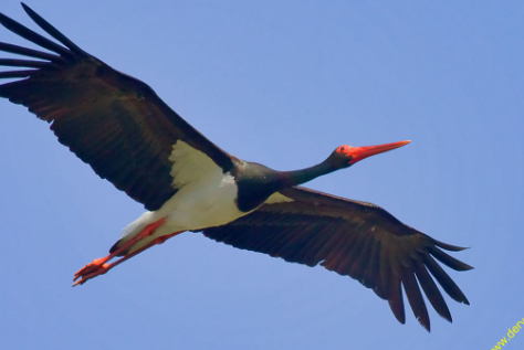 😱Самые пугающие и загадочные факты, связанные с чернобыльской зоной отчуждения!😱