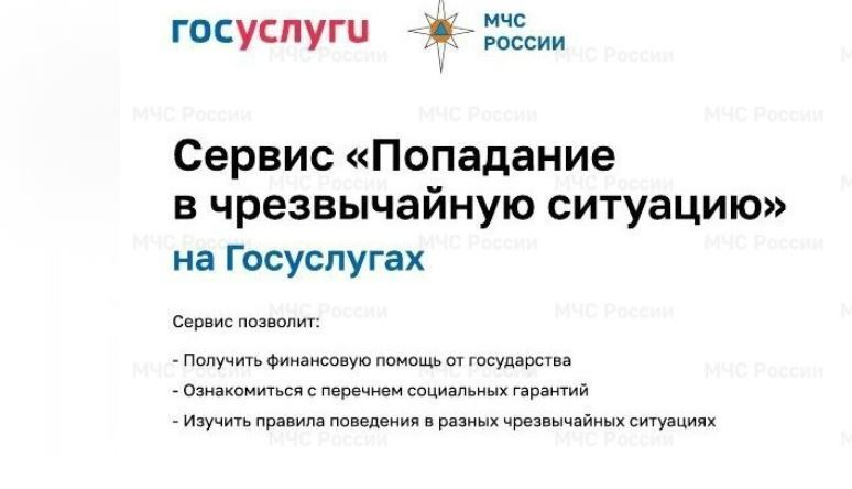 Как оформить выплаты пострадавшим в Курской области