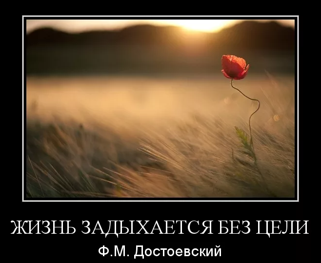 "Жизнь задыхается без цели"