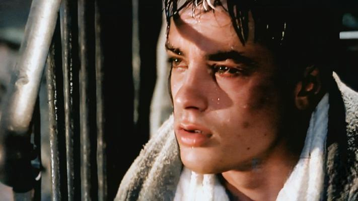 Борцы за наследство: что известно о детях Алена Делона