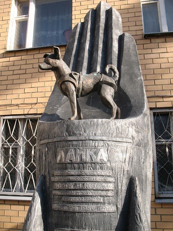 История Лайки: Путь от бездомной собаки до космонавта