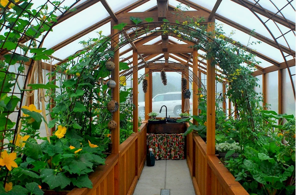 Когда и как менять грунт в теплице: руководство по повышению урожайности