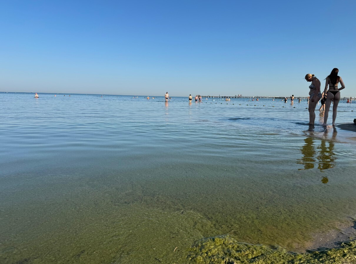 Вот это болото или Добро пожаловать в Анапу