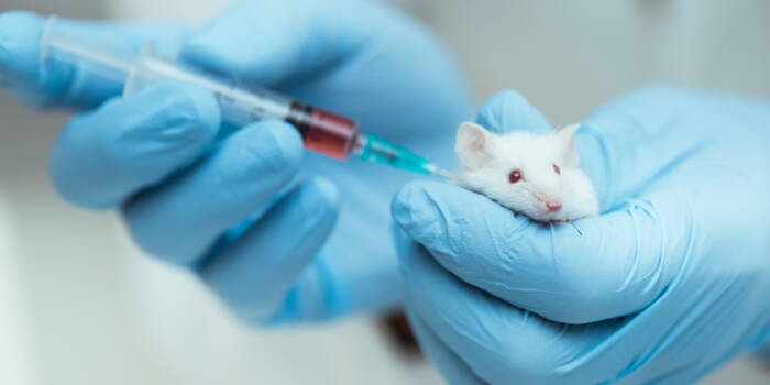 В Европе сократилось количество животных, используемых для научных экспериментов