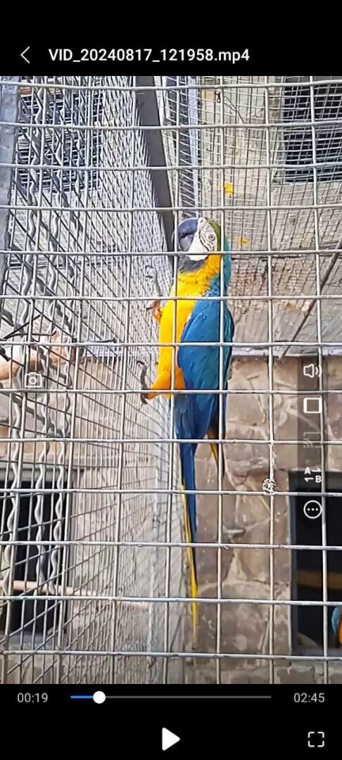 Наша увлекательная прогулка по зоопарку в селе Придорожное (ДНР)! Отвлеклись от шума и суеты! Мы в восторге!