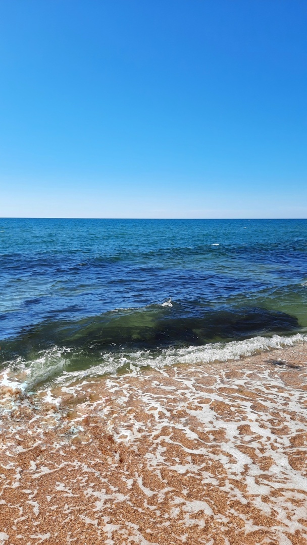 Отдых Крыму 2024. От печали до радости. Все подробности в статье