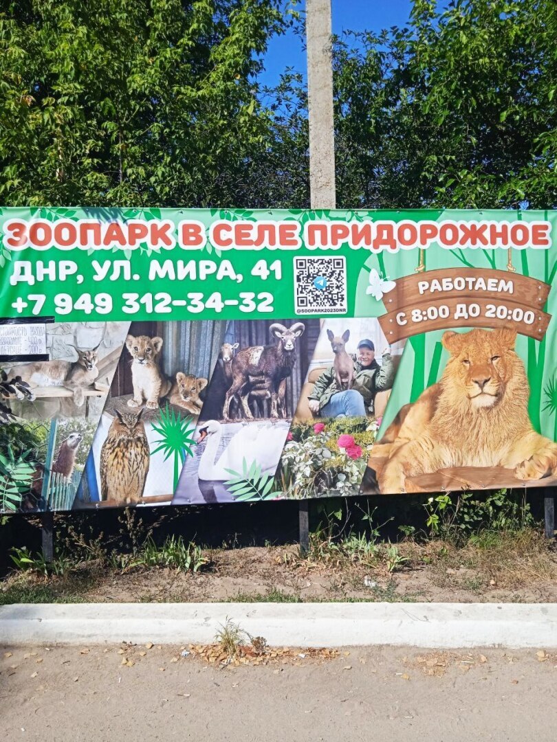 Наша увлекательная прогулка по зоопарку в селе Придорожное (ДНР)! Отвлеклись от шума и суеты! Мы в восторге!