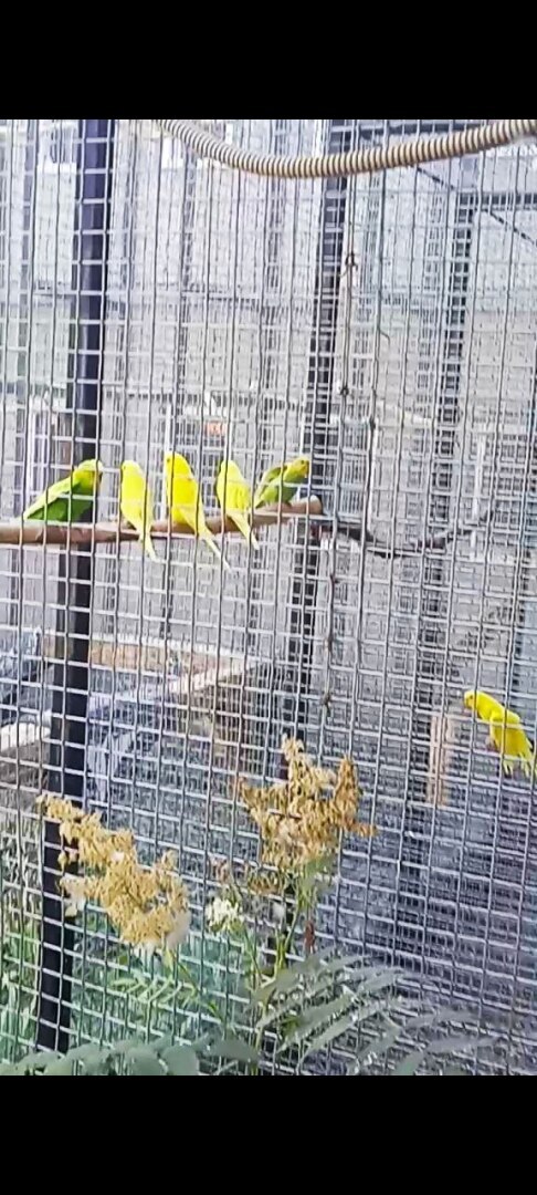 Наша увлекательная прогулка по зоопарку в селе Придорожное (ДНР)! Отвлеклись от шума и суеты! Мы в восторге!