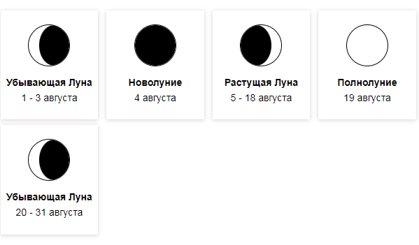Магнитная буря 23, 24 и 25 августа 2024 года: влияние на здоровье и советы врачей.На выходные можно вздохнуть от нападок Солнца но не надолго