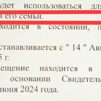 1724522864713.jpg