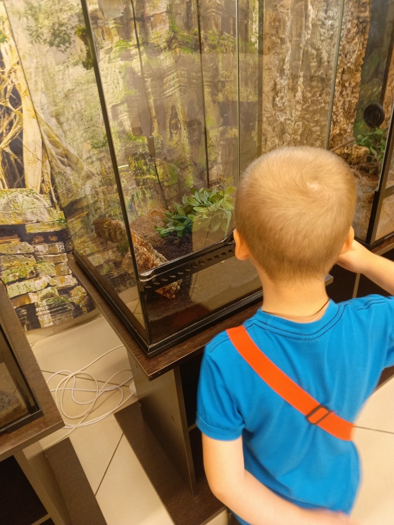 Мам, а меня паук укусит?