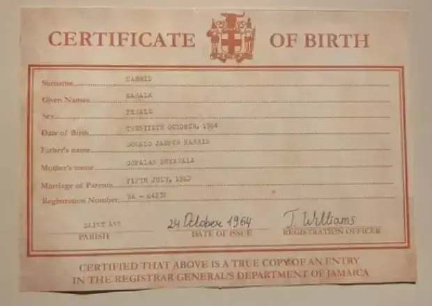 Камала Харрис под вопросом (вскрыт подлог)