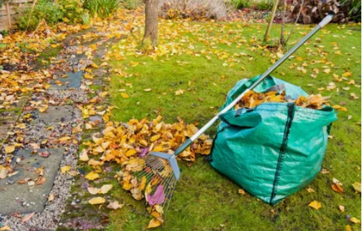 Готовим дачный участок к зиме