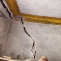 DSCN6589.JPG