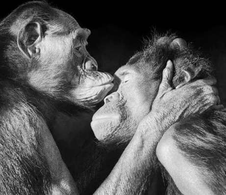 Чувства - это самая яркая часть нашей жизни